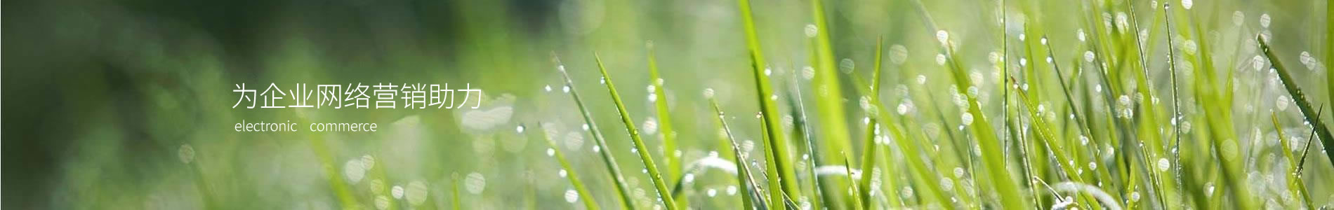 ݰٲӽƷ޹˾